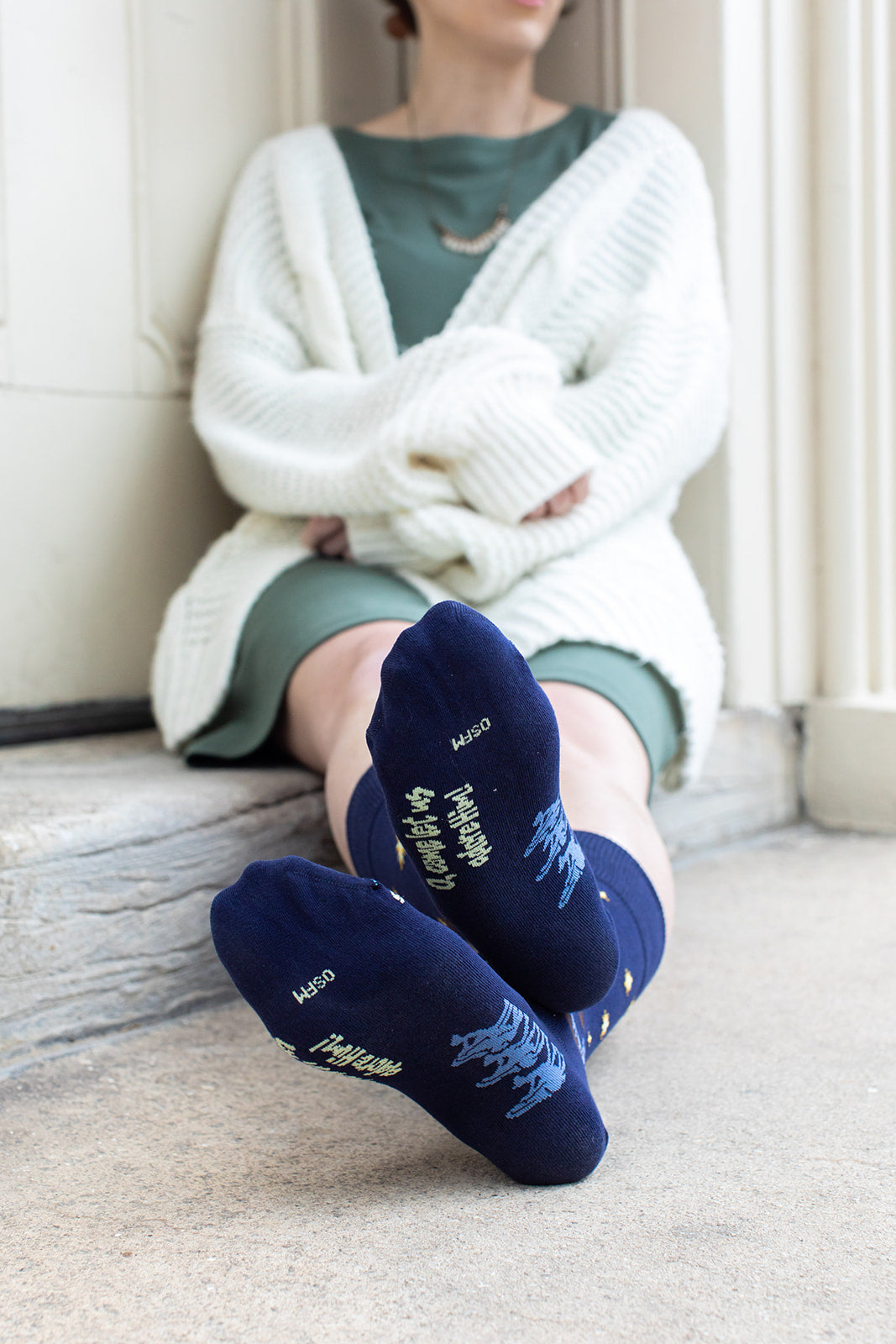 Nativity Adult Socks