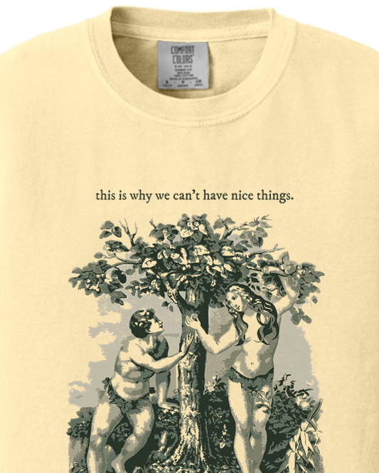 This Is Why We Can’t Have Nice Things - Adam and Eve Youth T-Shirt - Comfort Colors