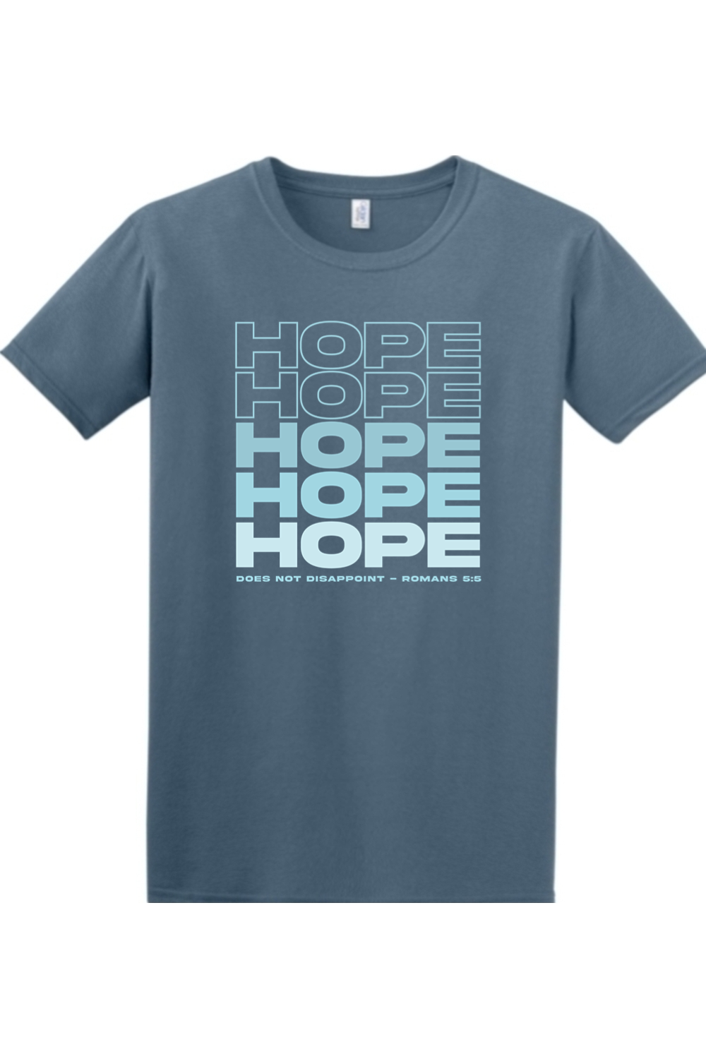 Hope Does Not Disappoint Adult T-Shirt