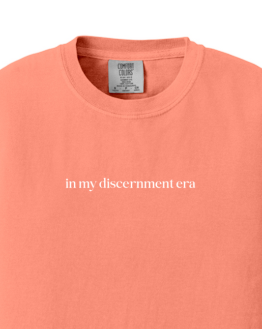 In My Discernment Era Youth T-shirt - Comfort Colors