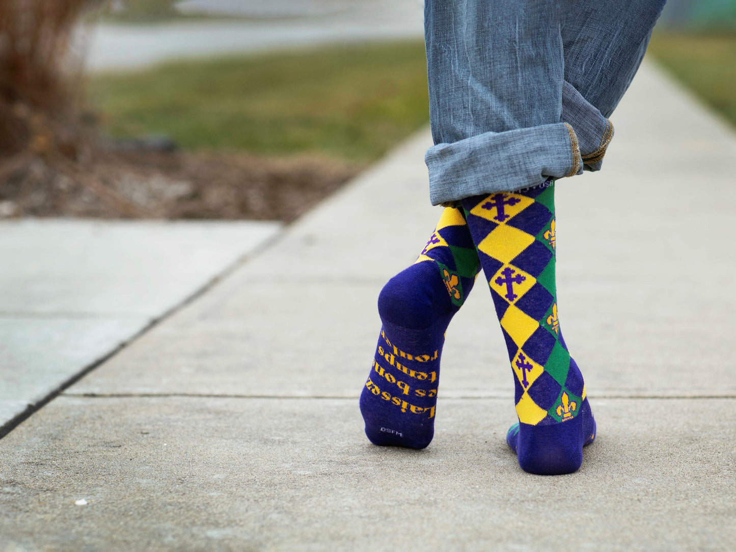 Mardi Gras Adult Socks